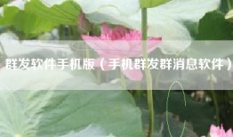 群发软件手机版（手机群发群消息软件）