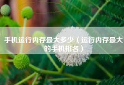 手机运行内存最大多少（运行内存最大的手机排名）