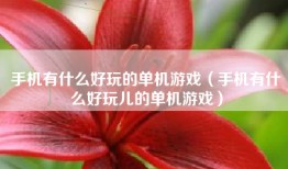 手机有什么好玩的单机游戏（手机有什么好玩儿的单机游戏）