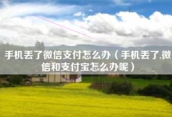 手机丢了微信支付怎么办（手机丢了,微信和支付宝怎么办呢）