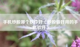 手机炒股哪个软件好（炒股最好用的手机软件）