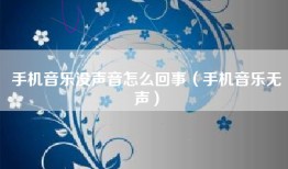 手机音乐没声音怎么回事（手机音乐无声）