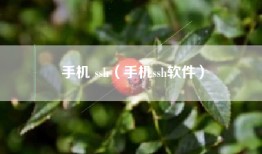 手机 ssh（手机ssh软件）