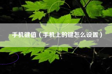 手机键值（手机上的键怎么设置）