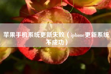 苹果手机系统更新失败（iphone更新系统不成功）